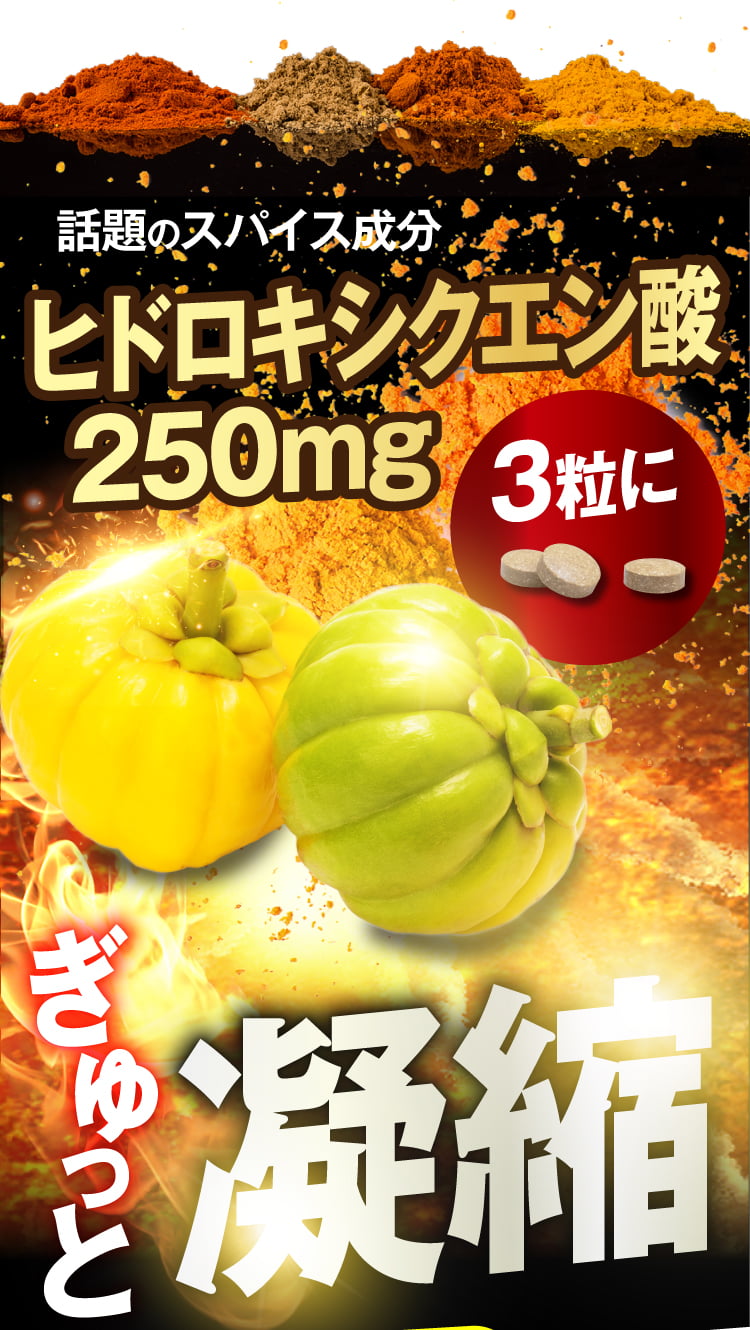 そこで！分解力×燃焼力脂肪燃焼に特化した