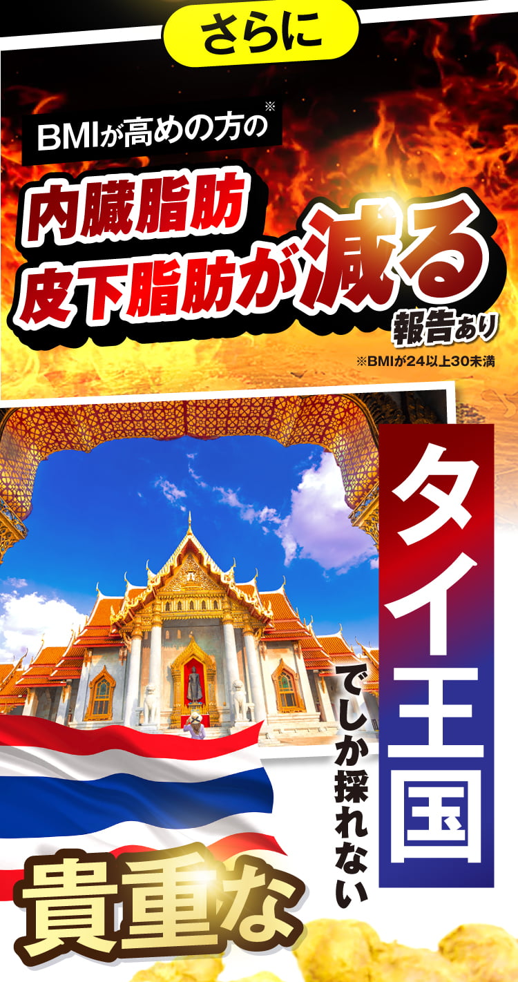バニボの3つのポイント
