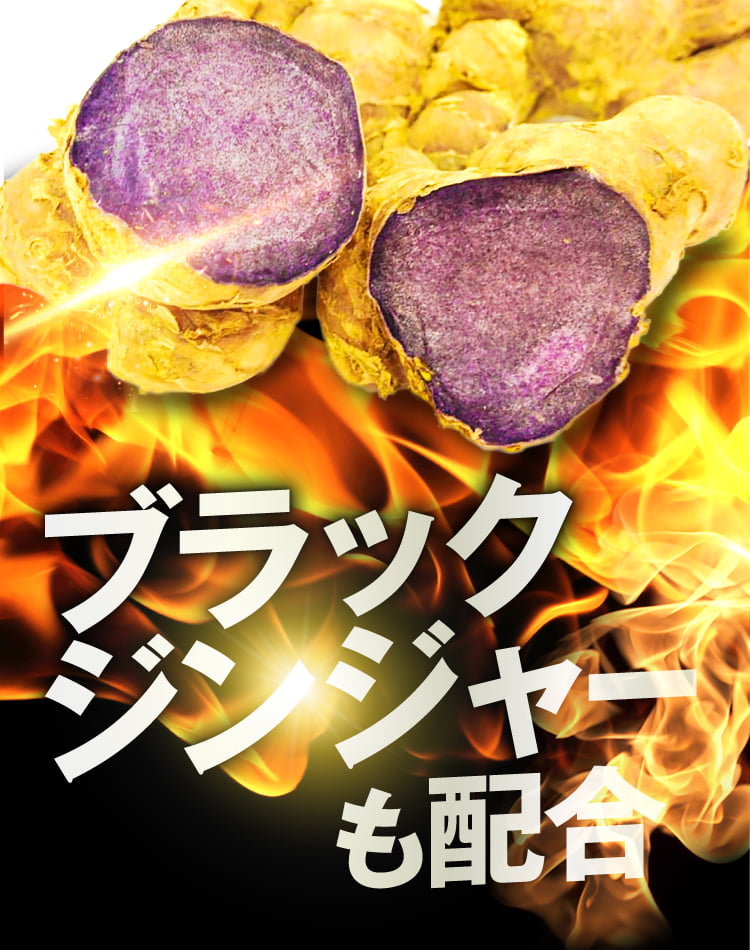 POINT01脂肪燃焼を高める