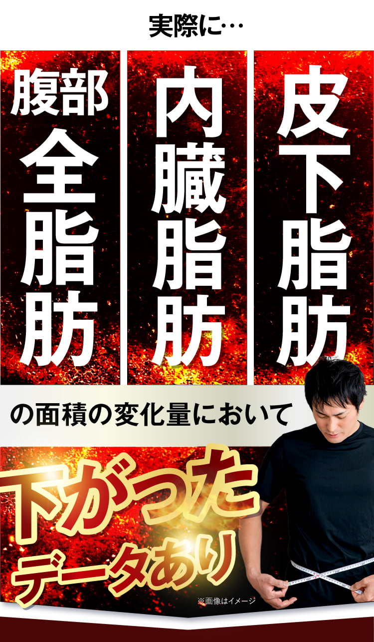 POINT02腹部の脂肪を減らす！