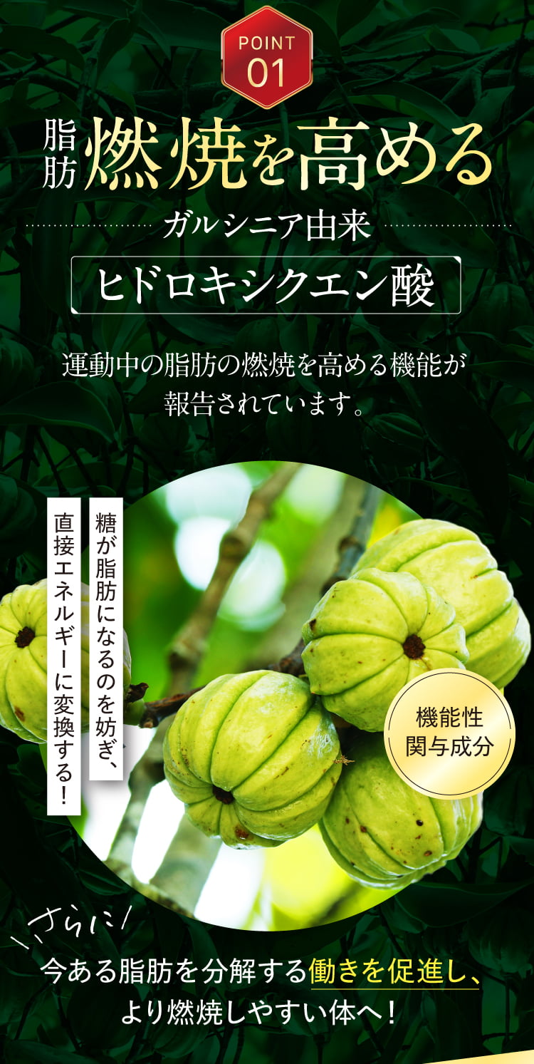 POINT01脂肪燃焼を高める