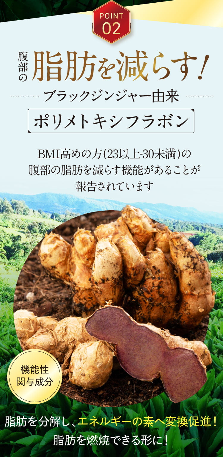 POINT02腹部の脂肪を減らす！