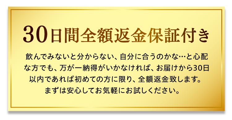 30日返金保証付き