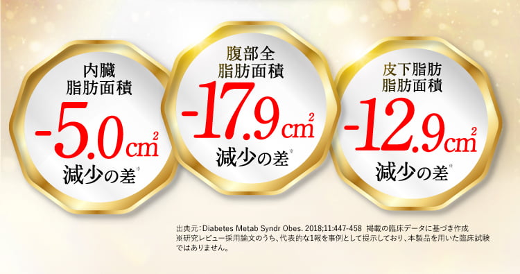 30日返金保証付き
