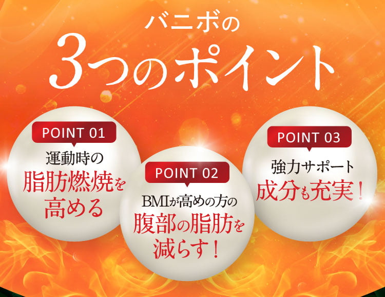 バニボの3つのポイント