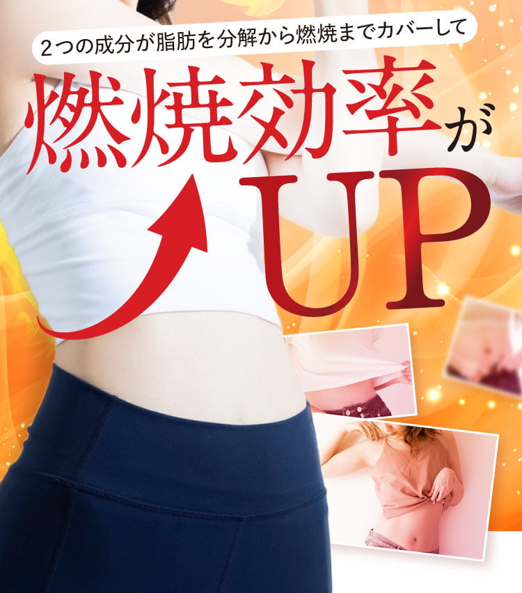 脂肪を分解から燃焼までカバーして燃焼効率がUP