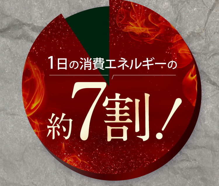 1日の消費エネルギーの約7割!