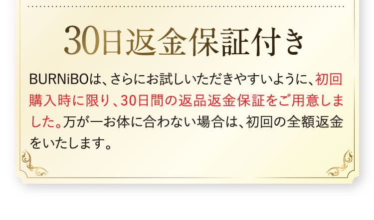 30日返金保証付き